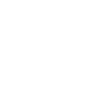 de manicor logo bianco
