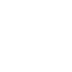 igf fornitalia logo bianco